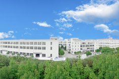 攜手同心、行而不輟，奔赴美好的2024